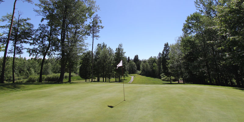 Photo of Par 3 Hole 5 at Tamarack Golf Club in Oswego, NY.