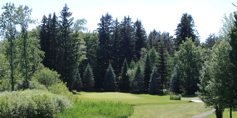 Photo of Par 4 Hole 4 at Tamarack Golf Club in Oswego, NY.