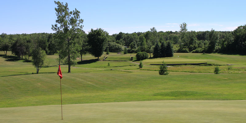 Photo of Par 4 Hole 8 at Tamarack Golf Club in Oswego, NY.