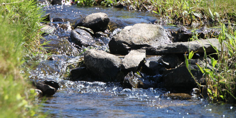 Photo of the stream on Par 3 Hole 12 at Tamarack Golf Club in Oswego, NY.