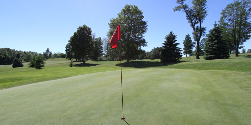 Photo of Par 4 Hole 8 at Tamarack Golf Club in Oswego, NY.